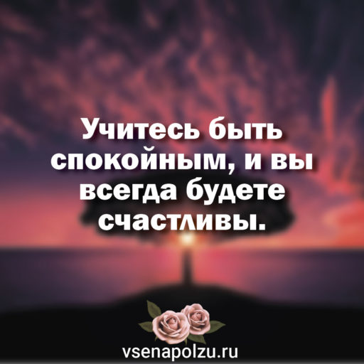 Учитесь быть спокойными, и вы всегда будете счастливы