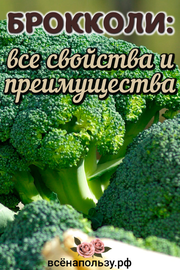 Свойства брокколи