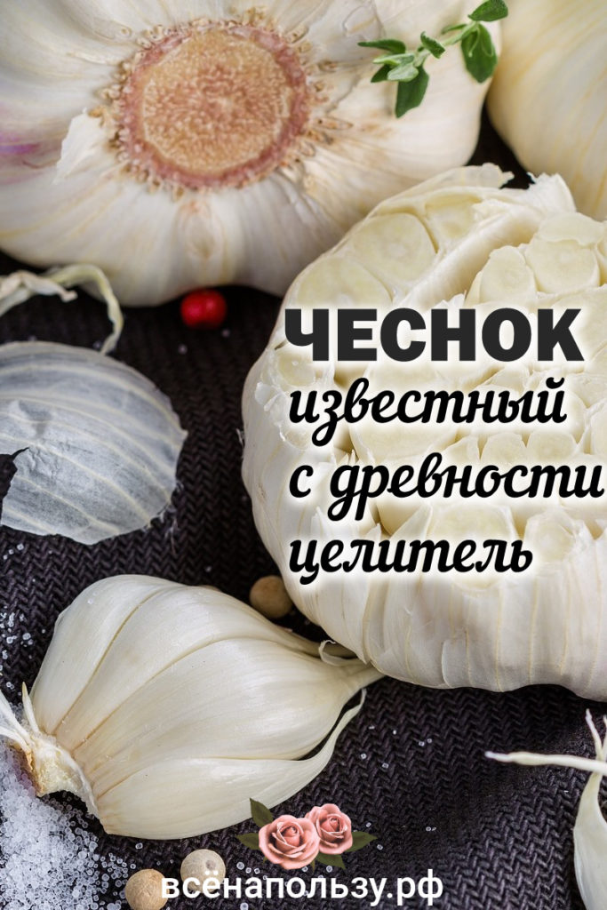 Чеснок целитель